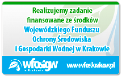 Termomodernizacja Urzędu Miejskiego i Szkoły Podstawowej w Mokrzyskach 3